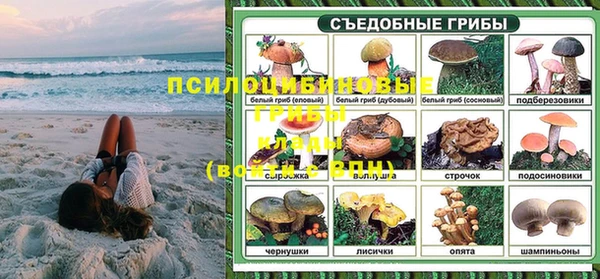ешки Алзамай