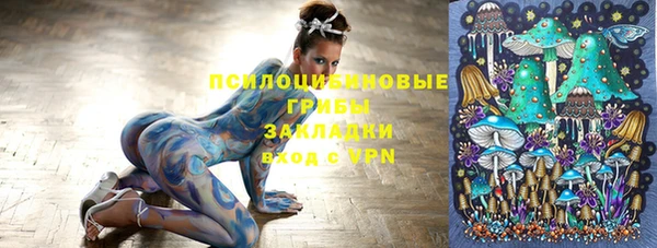 ешки Алзамай