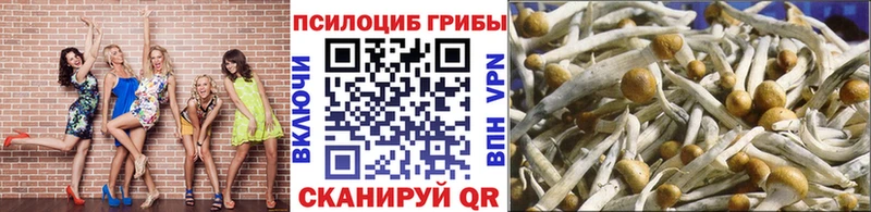 Галлюциногенные грибы Psilocybe  мега   Чусовой 